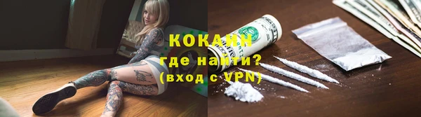 крисы Майский