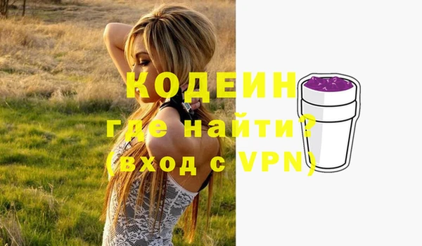 стафф Касимов