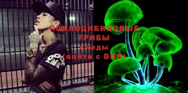 крисы Майский