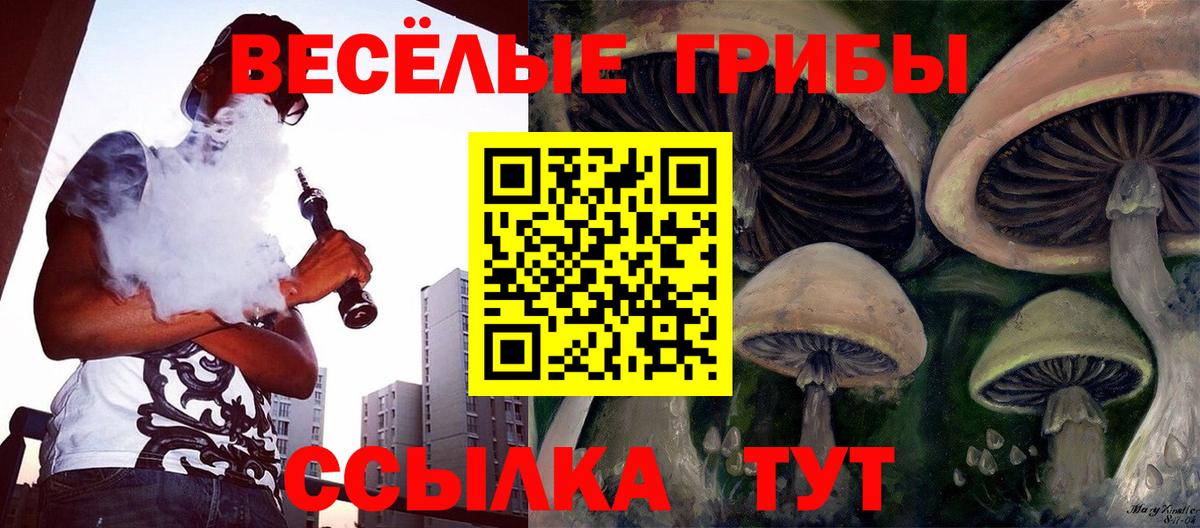 закладки  Псилоцибиновые грибы мицелий  Тольятти  Галлюциногенные грибы Magic Shrooms 