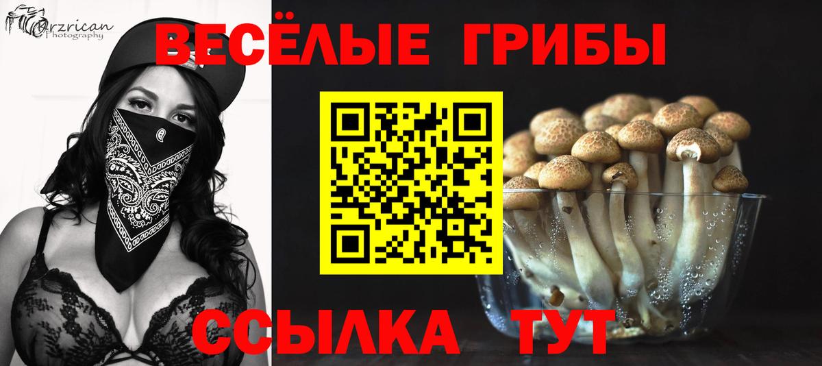 Галлюциногенные грибы Psilocybine cubensis  Вход с VPN  Тольятти 